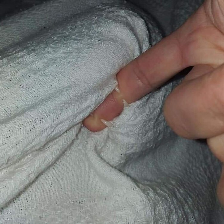 Aksi kucing berikut ini pasti bikin kamu terhibur, soalnya lucu banget. Memang deh, anabul tingkahnya ada saja.