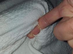 Aksi Kocak Para Kucing yang Bikin Nyengir, Gemasnya!