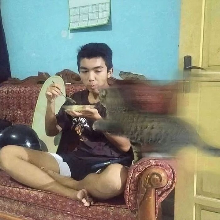 Aksi kucing berikut ini pasti bikin kamu terhibur, soalnya lucu banget. Memang deh, anabul tingkahnya ada saja.