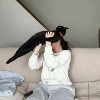 Aksi kucing berikut ini pasti bikin kamu terhibur, soalnya lucu banget. Memang deh, anabul tingkahnya ada saja.