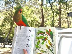 Foto Momen Kebetulan Langka, Asli Tanpa Editan Photoshop