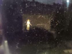 Foto Momen Kebetulan Langka, Asli Tanpa Editan Photoshop