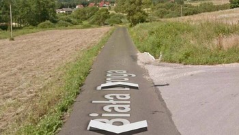 Kelinci Ini Tertangkap di Google Street Foto: Boredpanda