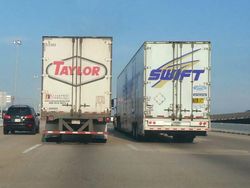 Foto Momen Kebetulan Langka, Asli Tanpa Editan Photoshop