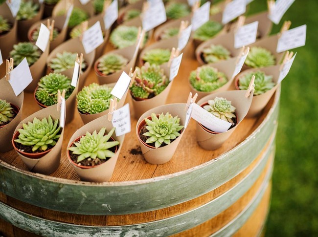 Pernikahan ramah lingkungan.