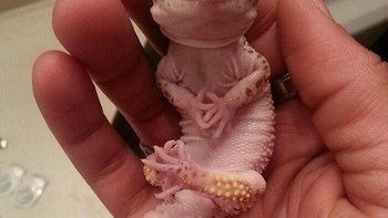 Serius banget! Foto: via Bored Panda