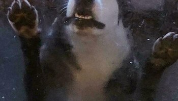 Minta tolong nih ceritanya? Foto: via Bored Panda