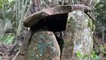Kuburan Batu di Rimba Krayan yang Pernah Jadi Sasaran Pencurian