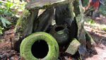 Kuburan Batu di Rimba Krayan yang Pernah Jadi Sasaran Pencurian