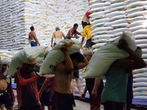 Kemarau Basah Picu Penurunan Produksi Gula PG Mojopanggung