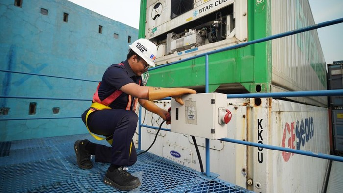 Pengiriman Barang Menggunakan Kontainer Berpendingin