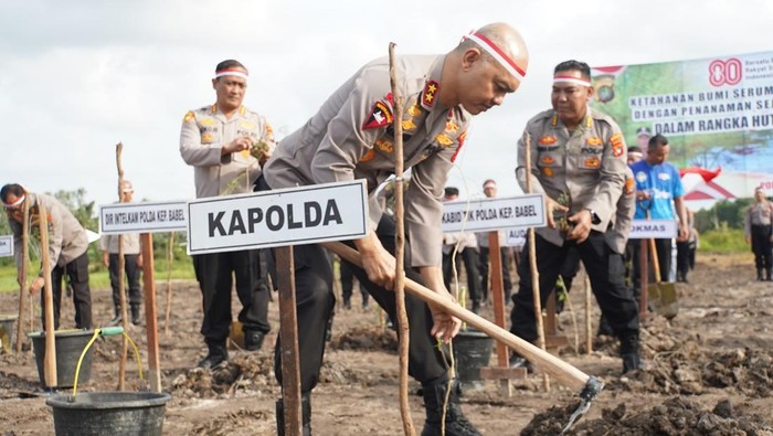 Polda Babel melakukan program dalam rangka HUT Kemerdekaan RI ke-80, penanaman sejuta pohon di Negeri Serumpun Sebalai, serentak dengan Polres Jajaran