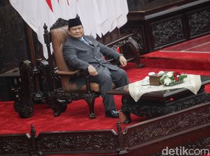 Ribuan Perkebunan Kelapa Sawit Langgar Hukum, Dipanggil BPKP Tak Mau Datang