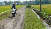 Aspal jalan mengelupas sepanjang kurang lebih 200 meter. Beberapa titik jalan bergelombang dan berlubang. Praktis, para pengendara harus berhati-hati saat melintas.