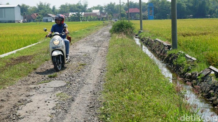 Protes Jalan Rusak di Jombang
