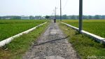 Potret Jalan Desa di Jombang Rusak