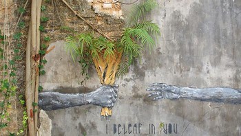 Pepohonan yang muncul di tembok jadi terlihat artsy. Foto: via BoredPanda