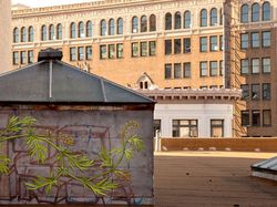 Deretan Street Art Keren yang Menyatu dengan Lingkungan