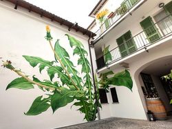 Deretan Street Art Keren yang Menyatu dengan Lingkungan