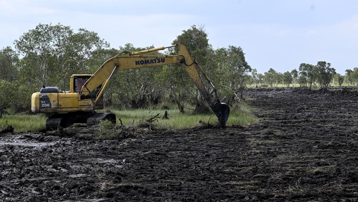 Pekerja menggunakan ekskavator untuk membuka lahan program cetak sawah rakyat di kawasan Bati-Bati, Tanah Laut, Kalimantan Selatan, Kamis (14/8/2025). Kementerian Pertanian menargetkan cetak sawah rakyat seluas 30 ribu hektare di Kalimantan Selatan guna meningkatkan produksi dan mendorong kemandirian pangan masyarakat setempat secara berkelanjutan serta mewujudkan swasembada pangan nasional. ANTARA FOTO/Hafidz Mubarak A/nz