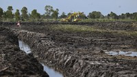 Progres pembukaan lahan Cetak Sawah Rakyat (CSR) di Desa Ujung, Kecamatan Bati-Bati, Tanah Laut, Kalimantan Selatan, telah mencapai 40 hektare sejak awal Agustus. ANTARA FOTO/Hafidz Mubarak A