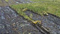 Kementerian Pertanian menargetkan cetak sawah rakyat seluas 30 ribu hektare di Kalimantan Selatan guna meningkatkan produksi dan mendorong kemandirian pangan masyarakat setempat secara berkelanjutan serta mewujudkan swasembada pangan nasional. ANTARA FOTO/Hafidz Mubarak A