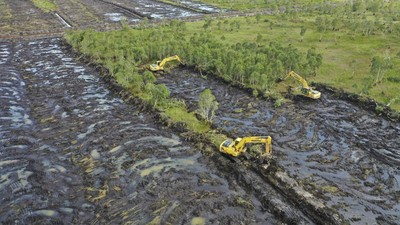 Pacu Produksi Pangan, Kementan Targetkan Cetak 30 Ribu Hektare Sawah di Kalsel
