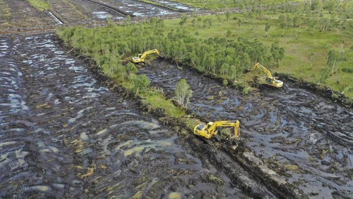 Pekerja menggunakan ekskavator untuk membuka lahan program cetak sawah rakyat di kawasan Bati-Bati, Tanah Laut, Kalimantan Selatan, Kamis (14/8/2025). Kementerian Pertanian menargetkan cetak sawah rakyat seluas 30 ribu hektare di Kalimantan Selatan guna meningkatkan produksi dan mendorong kemandirian pangan masyarakat setempat secara berkelanjutan serta mewujudkan swasembada pangan nasional. ANTARA FOTO/Hafidz Mubarak A/nz