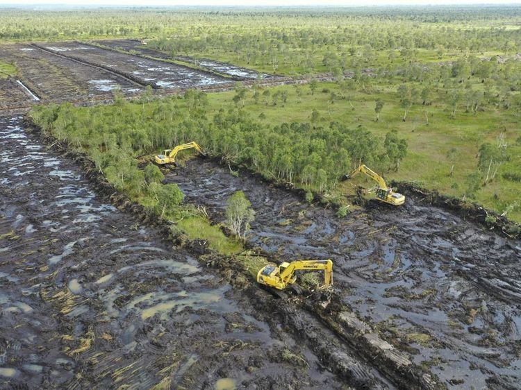 Pacu Produksi Pangan, Kementan Targetkan Cetak 30 Ribu Hektare Sawah di Kalsel