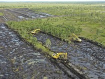 Pacu Produksi Pangan, Kementan Targetkan Cetak 30 Ribu Hektare Sawah di Kalsel