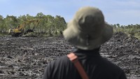 Pengerjaan yang melibatkan 16 ekskavator dan 40 pekerja ini ditargetkan menuntaskan 359 hektare lahan dalam waktu 50 hari. ANTARA FOTO/Hafidz Mubarak A