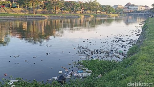 Kawasan hilir Tukad Badung di wilayah Pemogan penuh sampah, Kamis (14/8/2025).