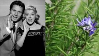 Aktris dan penyanyi Amerika ini punya nama unik terinspirasi herba rosemary. Sosoknya dikenal sebagai Rosemary Clooney. Foto: Craft Your Happy Place