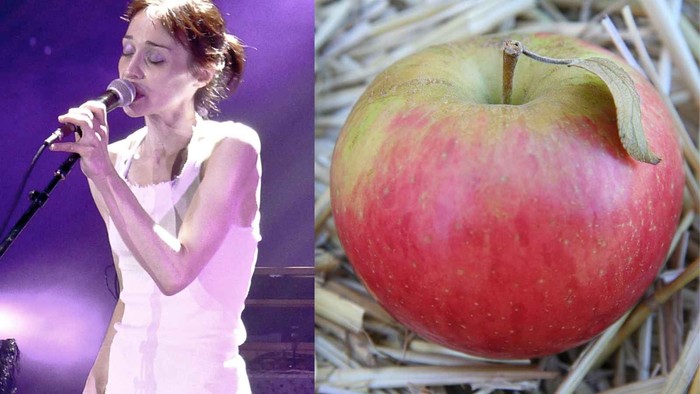 10 Selebriti yang Namanya Terinspirasi Makanan, Ada Halle Berry! 10 Selebriti yang Namanya Terinspirasi Makanan, Ada Halle Berry!