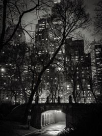 2025 iPhone Photography Awards