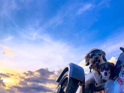 Jawara Kontes Foto iPhone yang BikinKagum, iPhone XS Ikut Unjuk Gigi