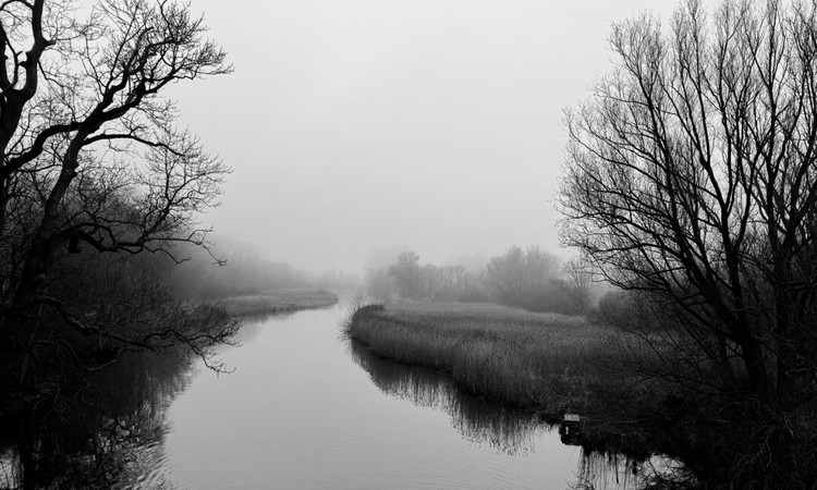 2025 iPhone Photography Awards