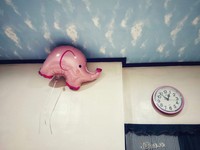 2025 iPhone Photography Awards