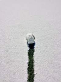 2025 iPhone Photography Awards