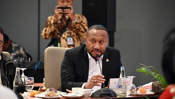 Anggota DPR Fraksi Gerindra Yan Permenas Mandenas.