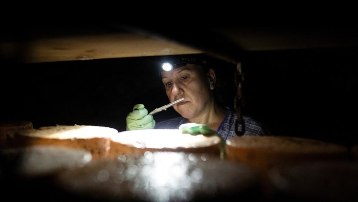 Dari Gua Batu Kapur, Lahir Keju Cabrales Termahal di Dunia Cheesemaker Encarnacion Bada tends to Cabrales blue cheese inside a maturing cave near Tielve, northern Spain, August 7, 2025. Women like Encarnacion Bada have long upheld the artisanal tradition of crafting Cabrales by hand and aging it in mountain caves, a practice now at risk as younger generations move away. REUTERS/Bernat Parera