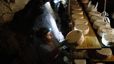 Dari Gua Batu Kapur, Lahir Keju Cabrales Termahal di Dunia