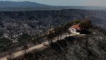 Foto Udara Ungkap Luasnya Kerusakan Kebakaran Hutan di Patras Yunani