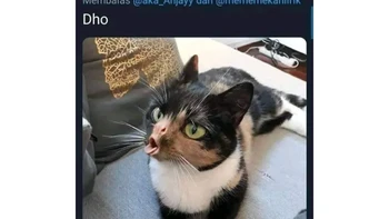 Same energy for dho. Foto: X/YuniAriane