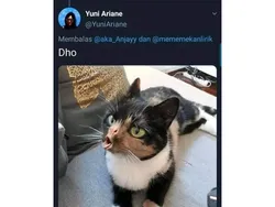 Gambaran Belajar Ngaji dengan Bacaan yang Benar, Semangat Ya