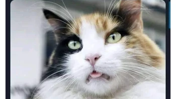 Nah, lidahnya agak digigit. Foto: X/mememekanlirik