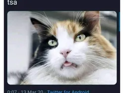 Gambaran Belajar Ngaji dengan Bacaan yang Benar, Semangat Ya