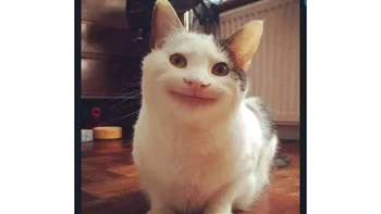 Kalau ini belajar baca iqlab. Foto: X/mememekanlirik