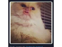 Gambaran Belajar Ngaji dengan Bacaan yang Benar, Semangat Ya