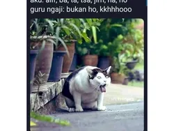 Gambaran Belajar Ngaji dengan Bacaan yang Benar, Semangat Ya